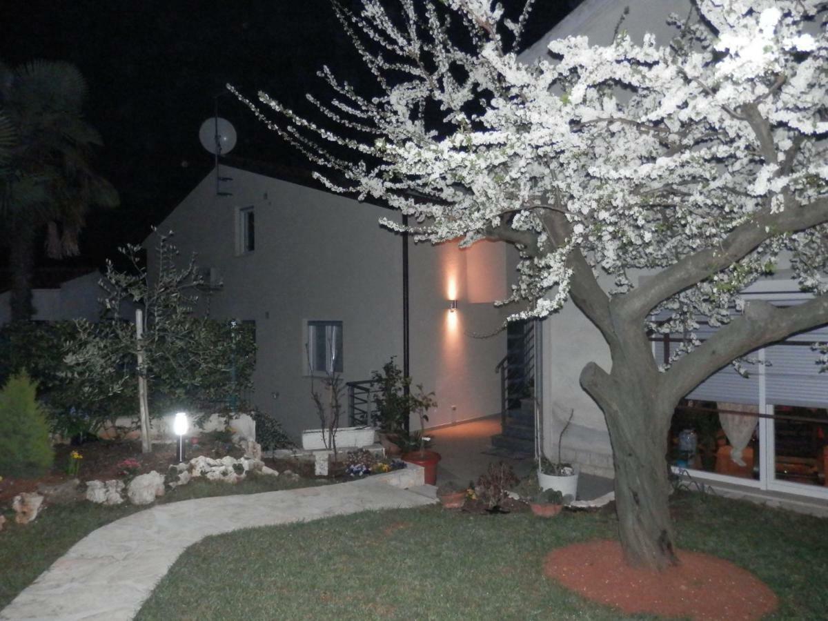 Apartment Luna Porec